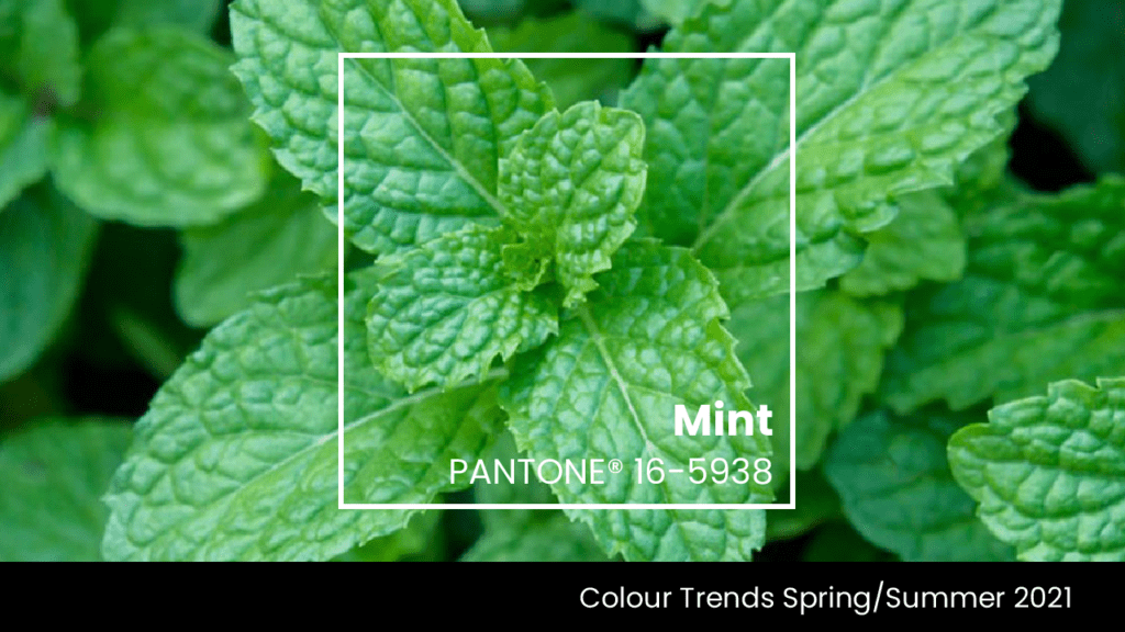 Mint Leaf trending colour 2021