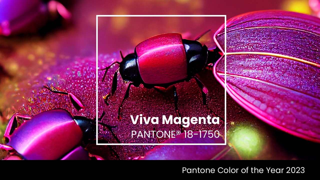 Living boldly and fearlessly – Viva Magenta, Pantone Colour of the