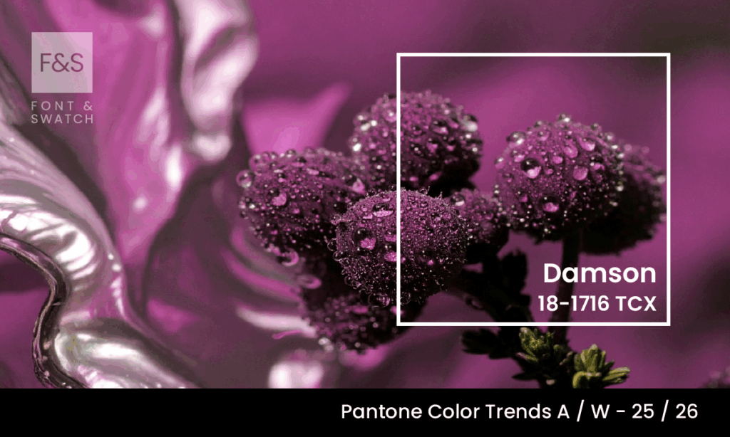 Damson Pantone 18-17-16