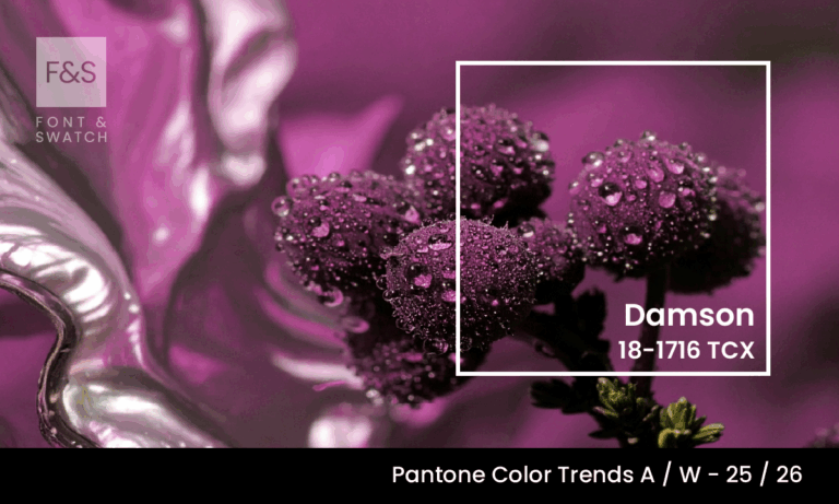 Damson Pantone 18-17-16